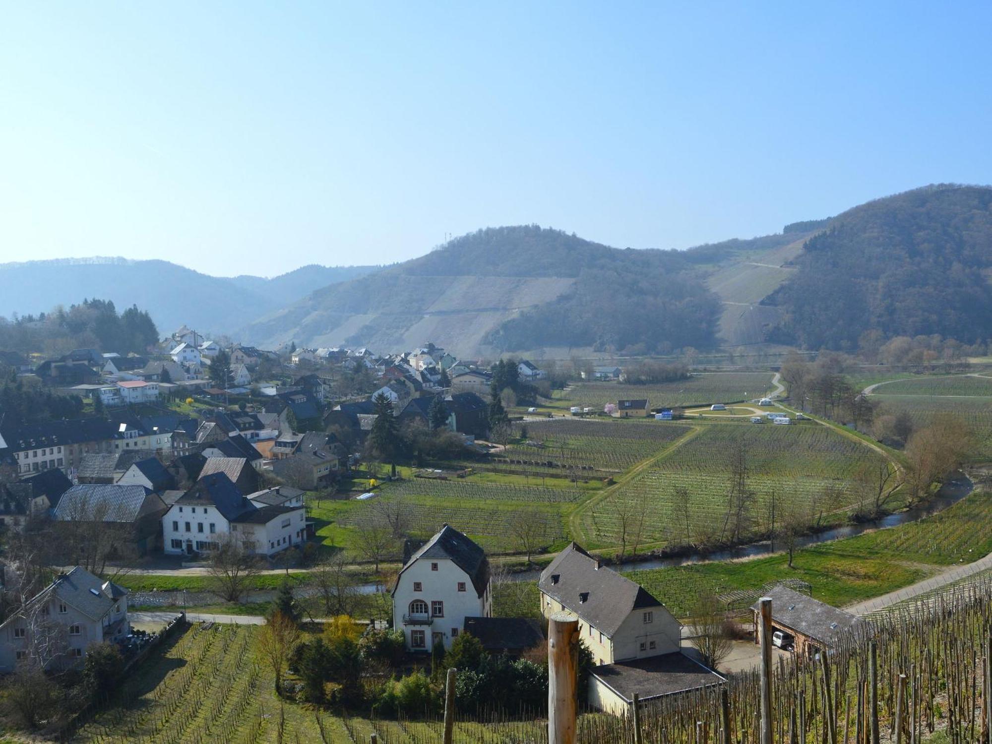 Holiday Home With Garden In Neumagen Dhron Buitenkant foto